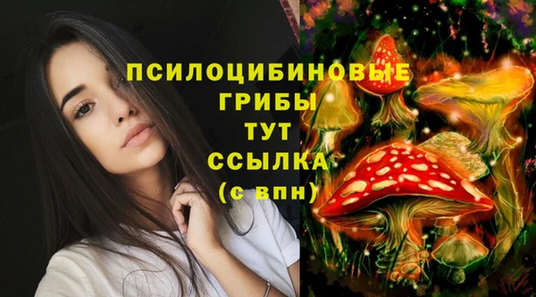 спиды Беломорск
