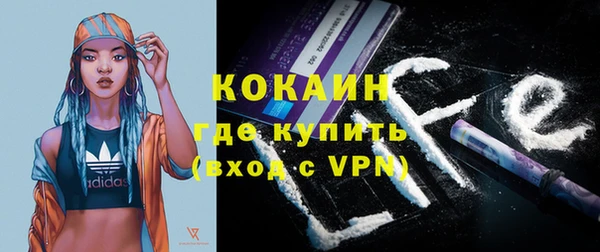 ПСИЛОЦИБИНОВЫЕ ГРИБЫ Белокуриха