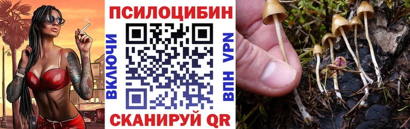 где найти наркотики  Семикаракорск  Галлюциногенные грибы MAGIC MUSHROOMS 
